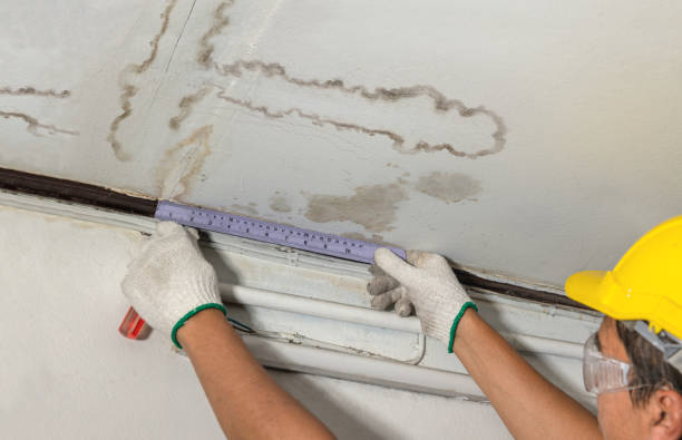 Reliable Burst Pipe Cleanup contractor in Pine Island, TX by Water Damage Irwin
